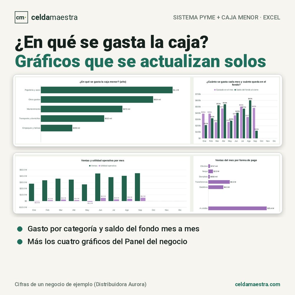 Gráficos de gasto por categoría de la caja menor y de gasto mensual frente al saldo del fondo